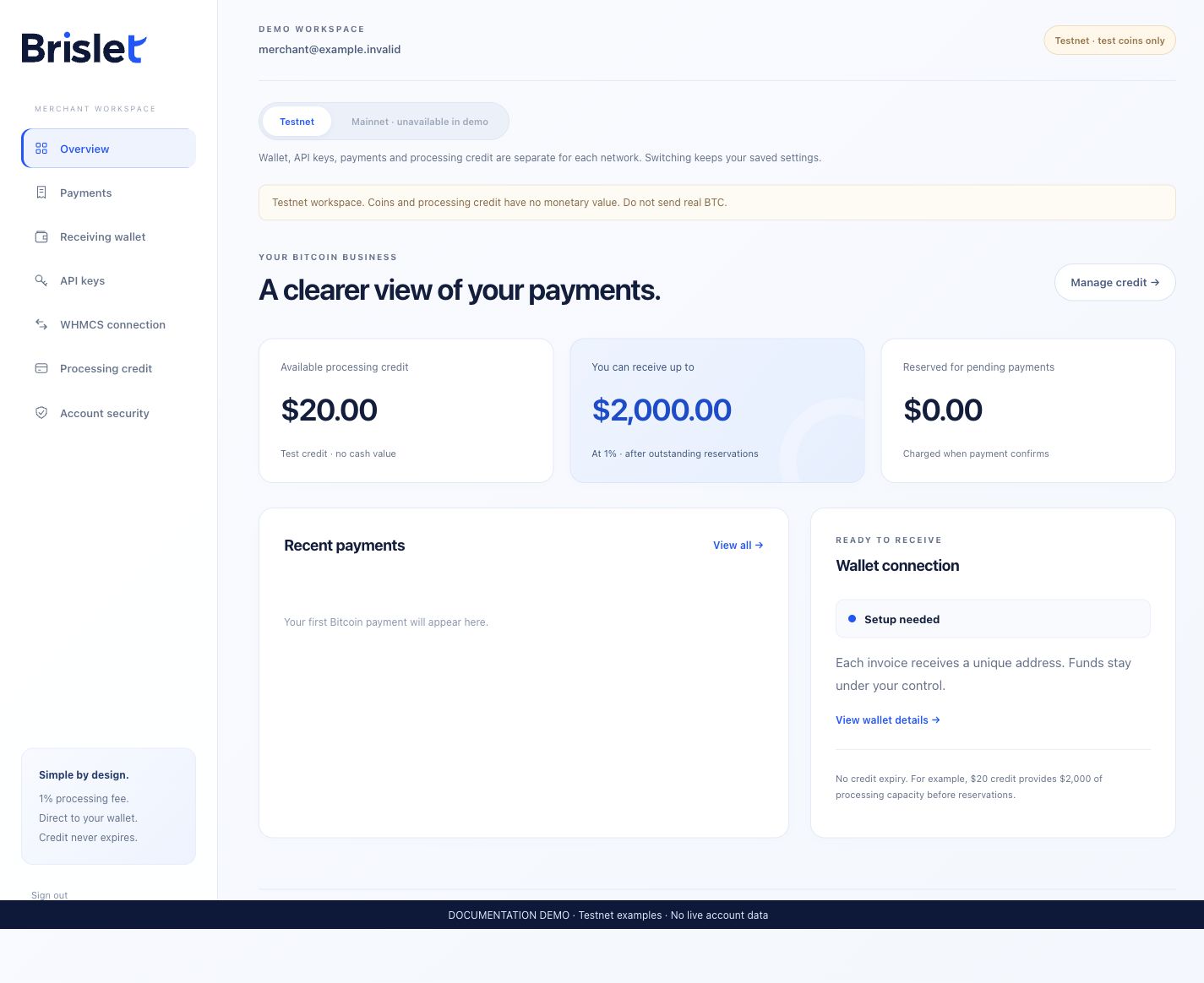 Brislet merchant dashboard showing processing credit and payment records